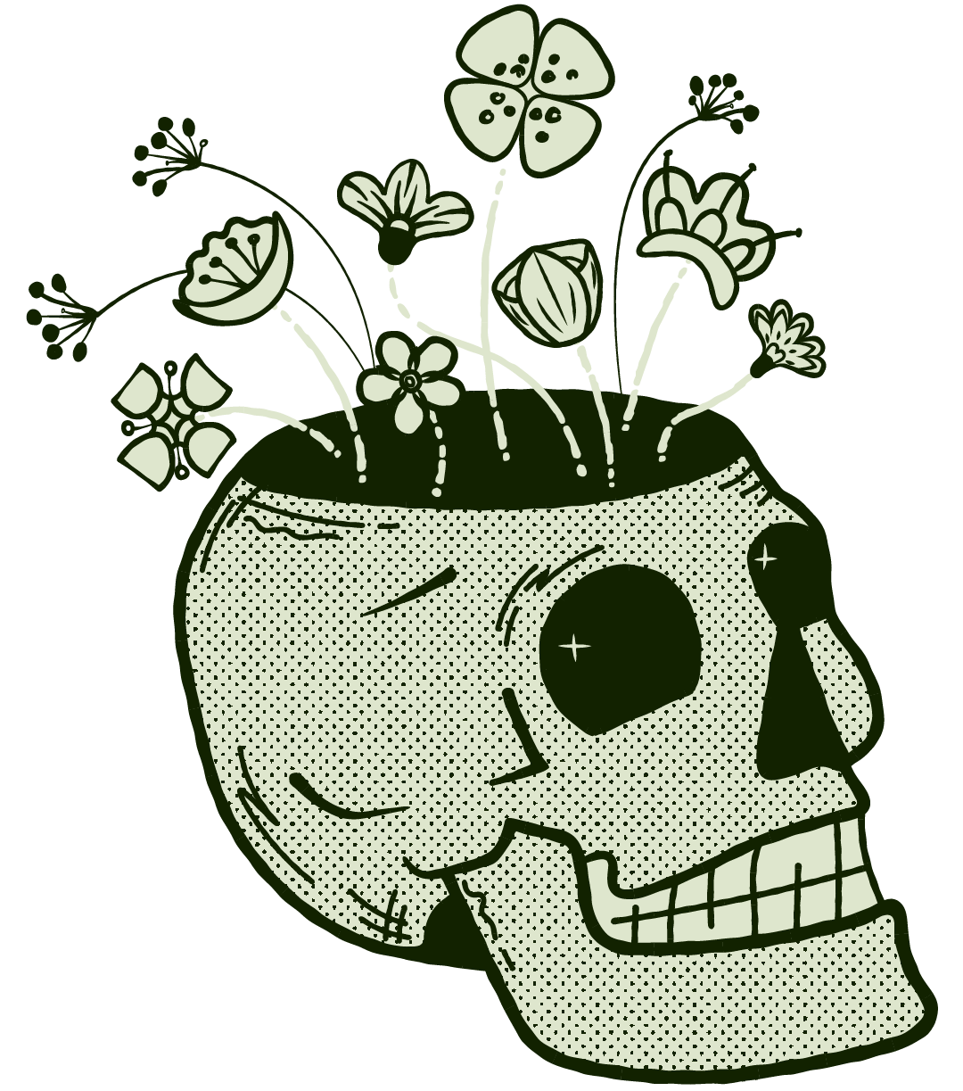 illustrated retro cartoon skulls with top removed and retro stylised flowers growing. light green with a heavy dark green outline, illustrated cross-hatchings and line marks, and a half tone finish.